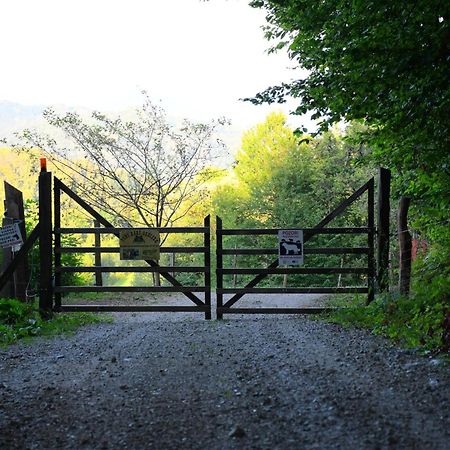 Eko Pony Ranch Ogrizek Lejlighed Podčetrtek Eksteriør billede