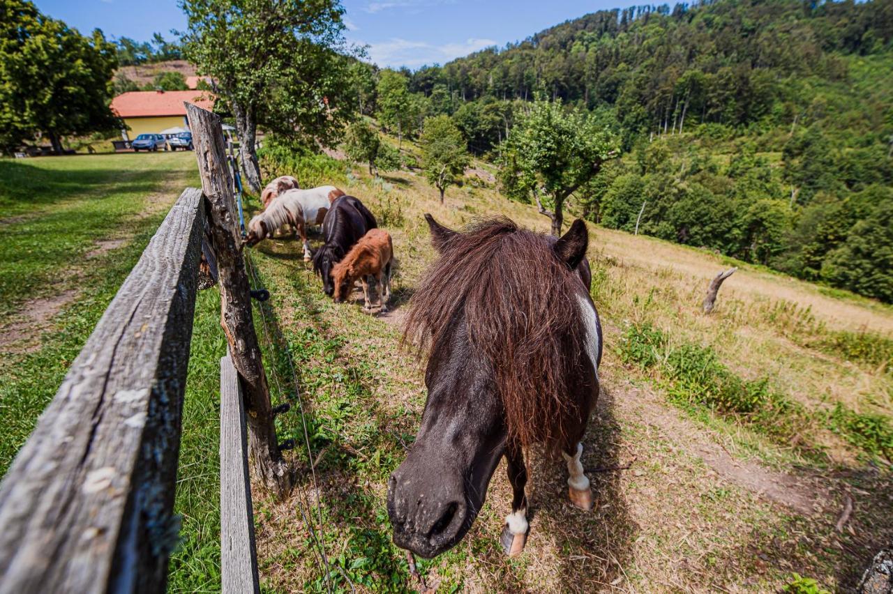 Eko Pony Ranch Ogrizek Lejlighed Podčetrtek Eksteriør billede