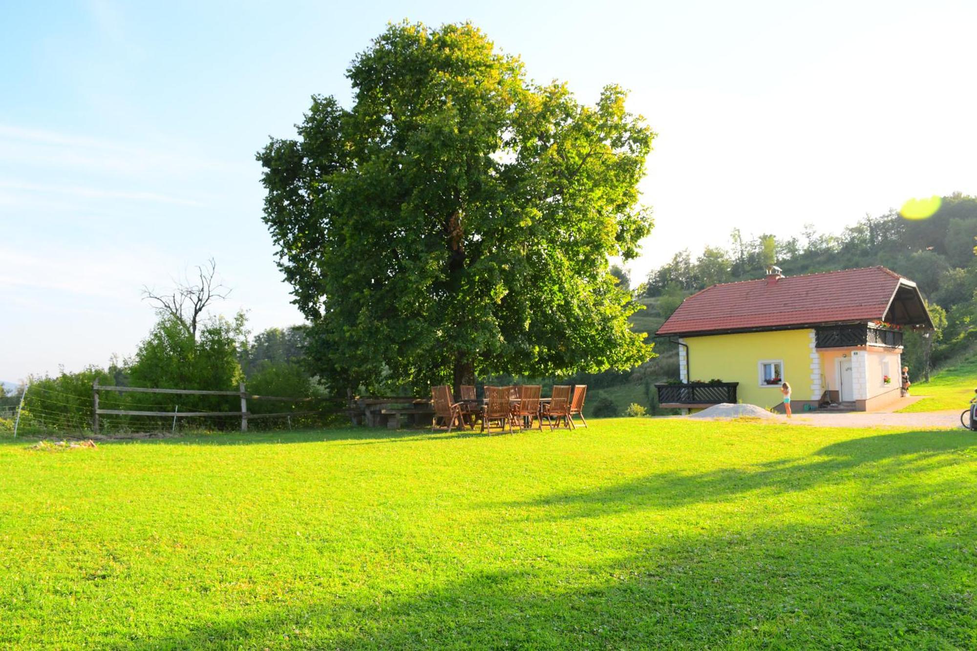 Eko Pony Ranch Ogrizek Lejlighed Podčetrtek Eksteriør billede