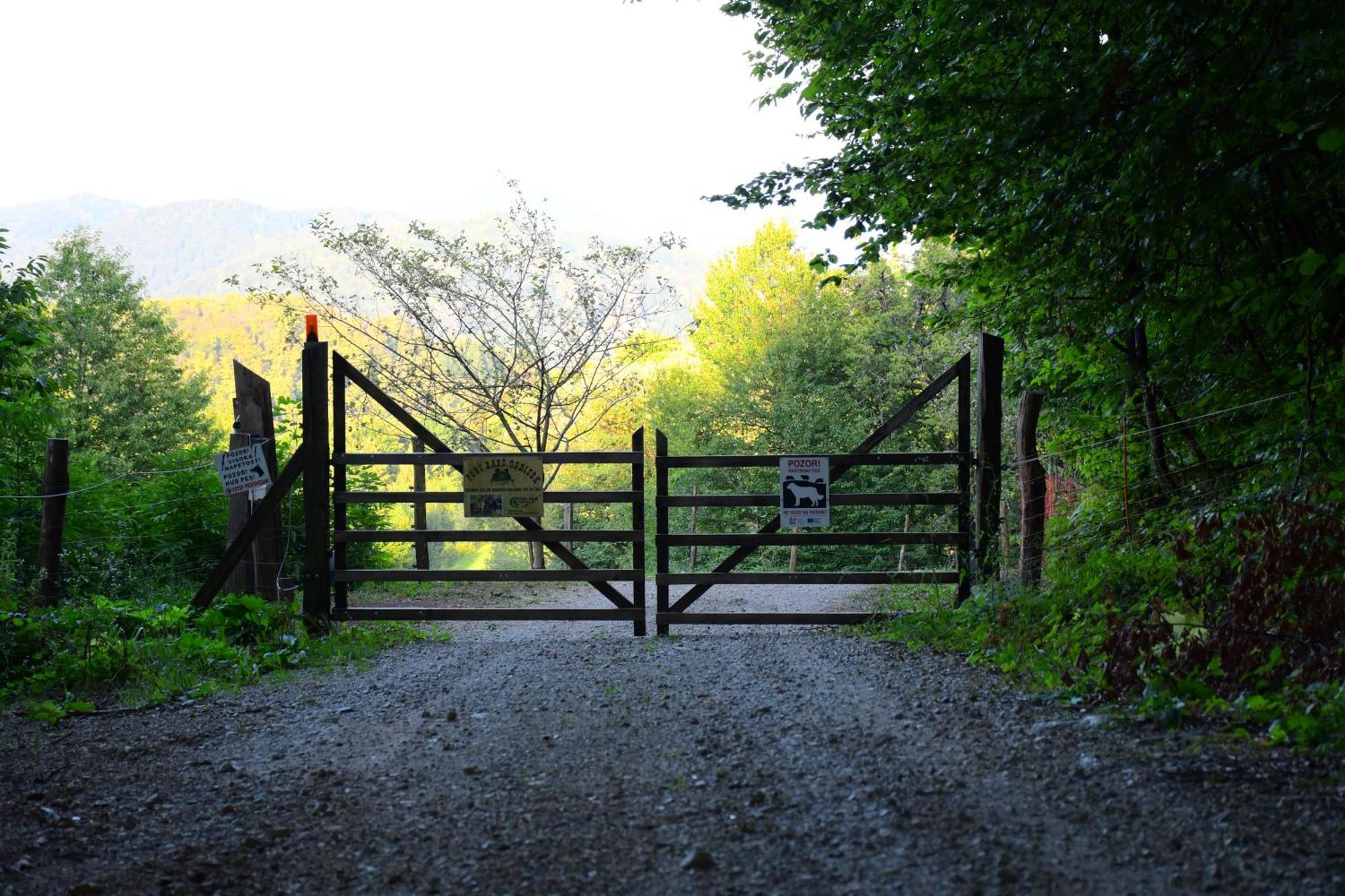 Eko Pony Ranch Ogrizek Lejlighed Podčetrtek Eksteriør billede